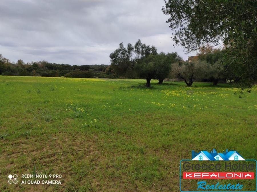 (For Sale) Land Agricultural Land  || Kefalonia/Leivatho - 19.000 Sq.m, 120.000€ 